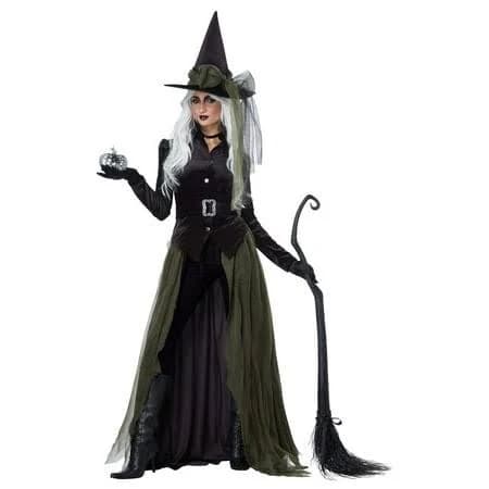 california costumes Gothic Witch Adult Women's Costume