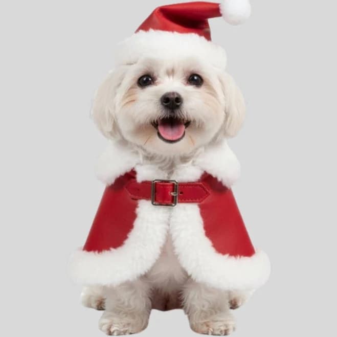 Christmas Dog Santa Costume | Red Holiday Pet Coat with Hat