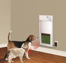 High Tech Pet 12-in x 28-5/8-in White Composite Medium Dog/Cat Door for Entry door/Wall at Lowes.com