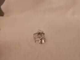 Swarovski Crystal Present Wedding Gift | eBay