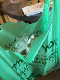 Eco-Friendly Plastic T-Shirt Bags (500/Case)