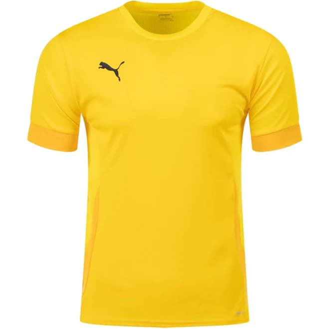 Puma TeamGoal Matchday Jersey Kids