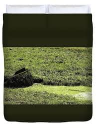 Small Wreck in the Park Art Print by Leigh Smith - Leigh Smith Official Website