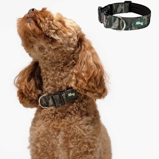 Dog Friendly Co Tactical Dog Collar