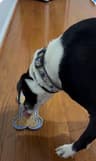 Video frame trigger
