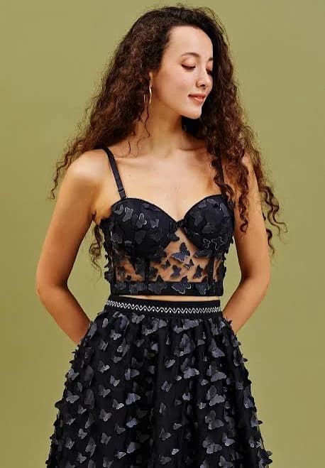 Butterfly Applique Bustier Crop Top