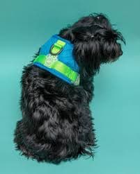 CANADA POOCH | Chill Seeker Cooling Dog Harness in Blue and Green | DOG & CO.