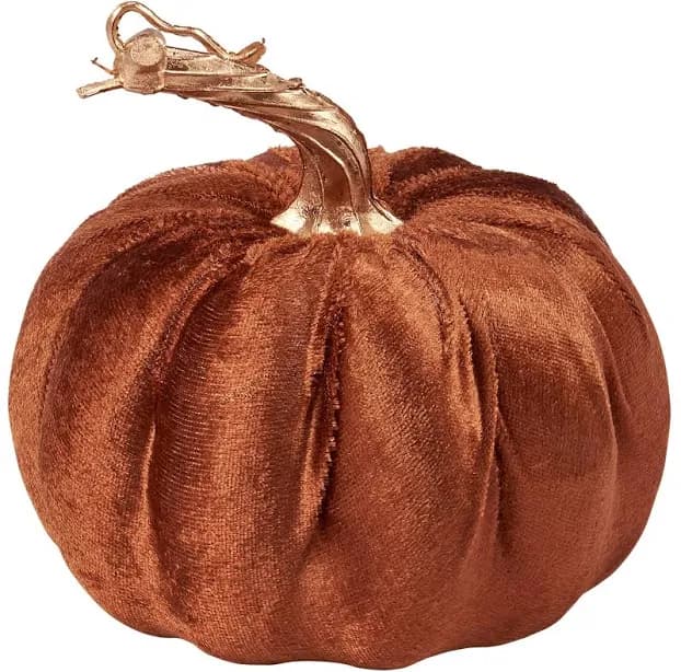 Pumpkin - Brown Velvet