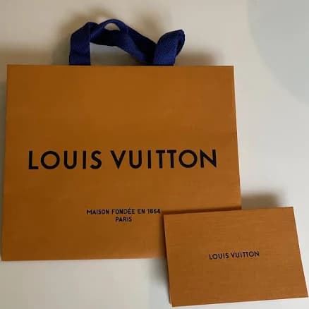 Louis Vuitton Orange Paper Shopping/gift Bag