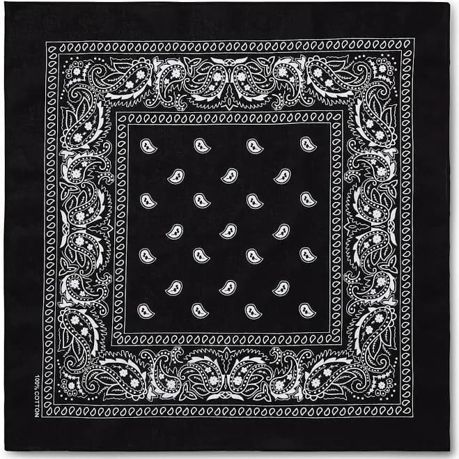 Spencer's Paisley Bandana