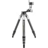 Video frame trigger