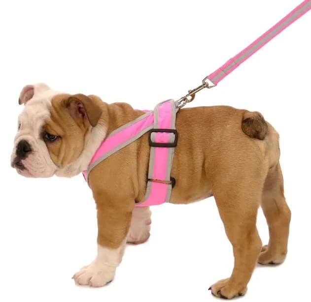 My Canine Kids Precision-Fit Nylon Dog Harness