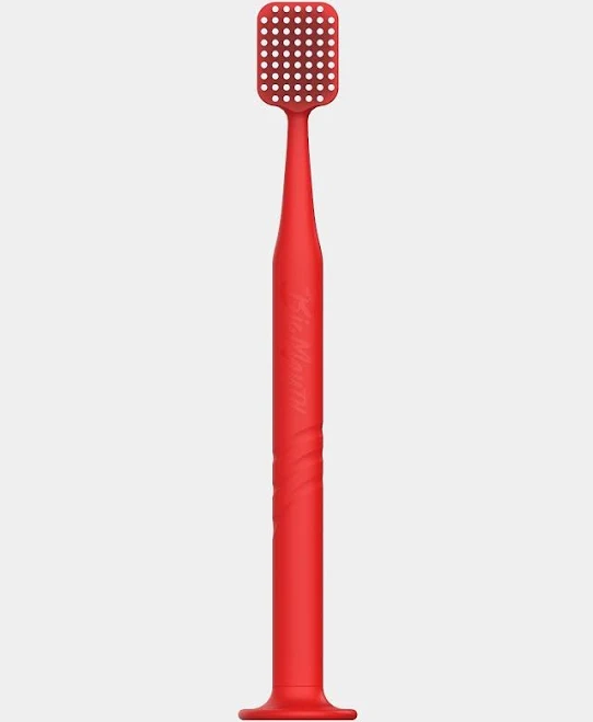 Big Mouth Manual Toothbrush