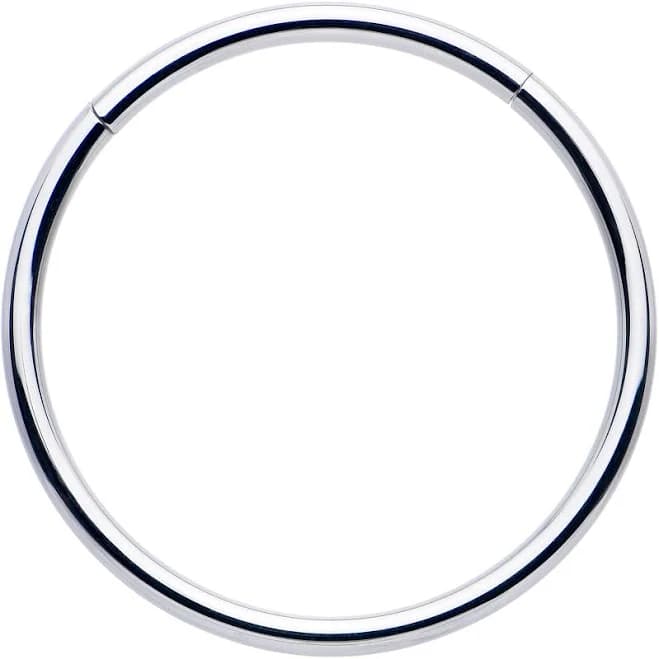 body candy 316L Surgical Steel Precision Hinged Segment Hoop