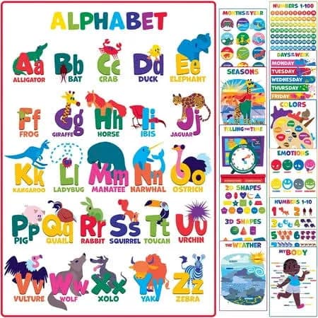 Youngever 12 Pack Laminated Educational Preschool Posters