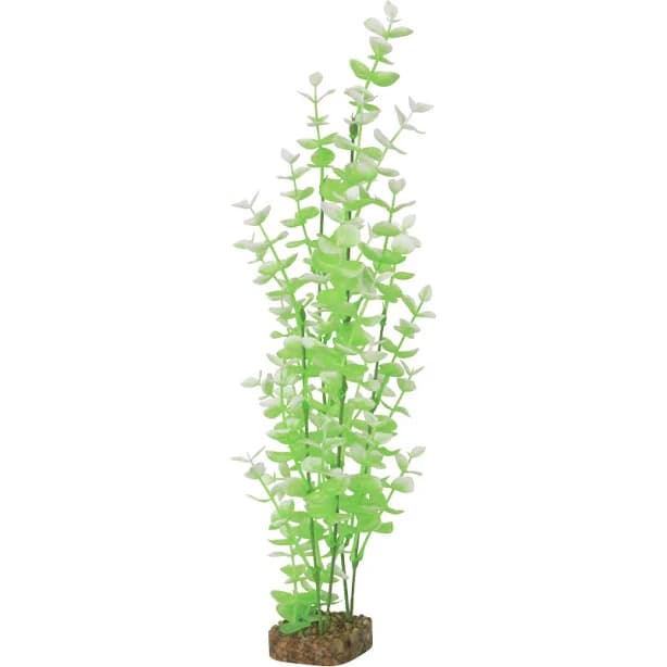 Glofish Aquarium Plant