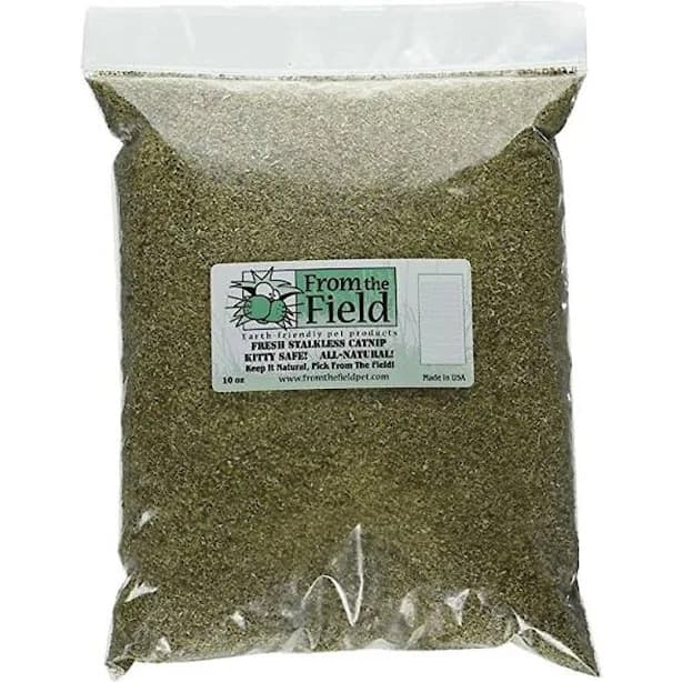 From The Field Catnip Kitty Safe Stalkless Jumbo Bag