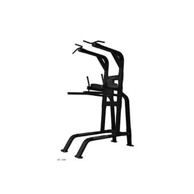 Nautilus Inspiration Pull-Up/dip/ Leg Raise