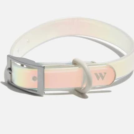 Wild One Holographic Dog Collar