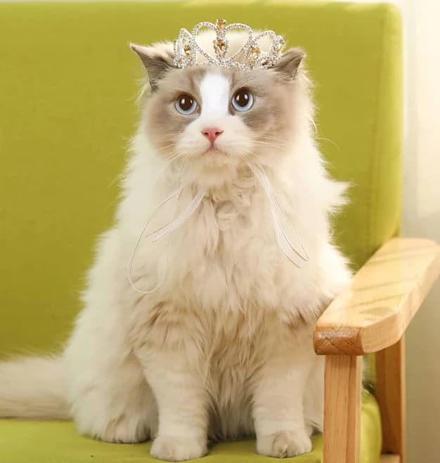 Pet Series Yellow Gem Rhinestone Dog/Cat Tiara Crown for Costume Hair Accessory | Rhinestone