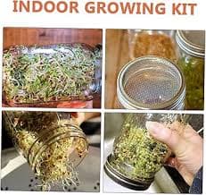 Amazon.com : Milisten 86mm Wide Mouth Mason Jar Sprouting Lid Set Stainless Steel Screen Lid for Organic Sprouting Jar : Home & Kitchen