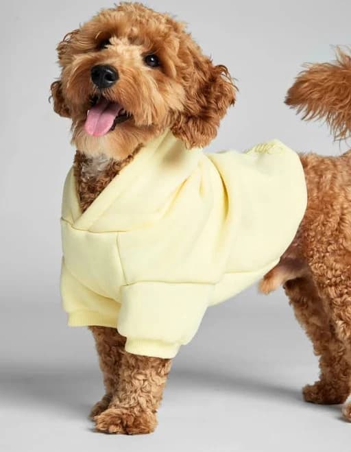 Comfrt Minimalist Paw Hoodie