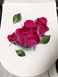 Waterproof Purple Red Rose Toilet Bowl Stickers Self-Adhesive Decorative Wall Stickers for Bathroom from Dhgate Candles - price 30.06