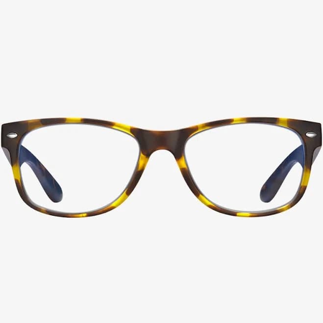Wayfarer Sunglasses