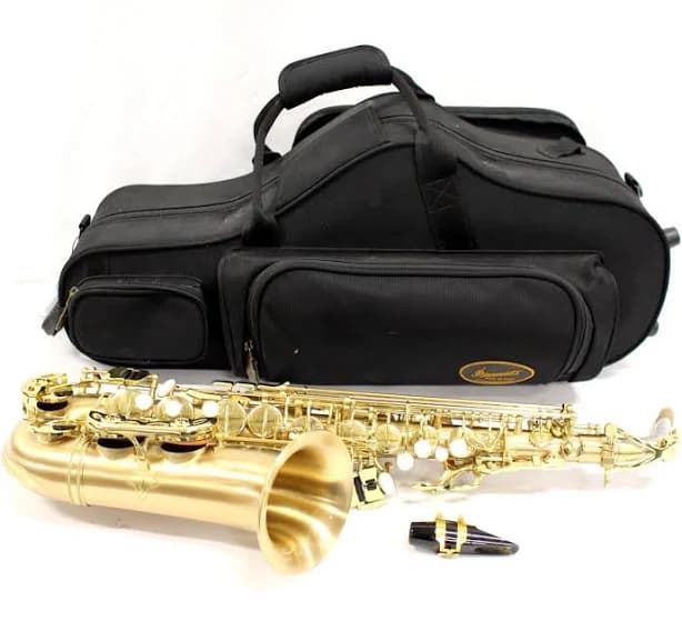 P. Mauriat Le Bravo Model 200 Alto Saxophone Kit - Lebravo200a - Gold