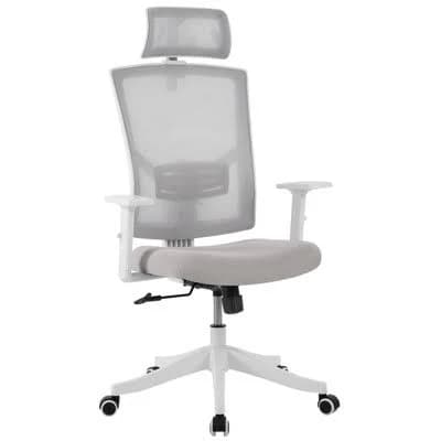 Ergonomic Office Chair with Lumbar Support and Flip-Up Arms