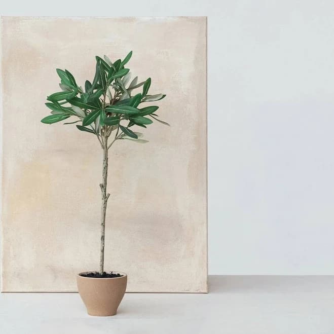 Creative Co-Op Evergreen Faux Olive Topiary Tree