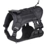 Video frame trigger
