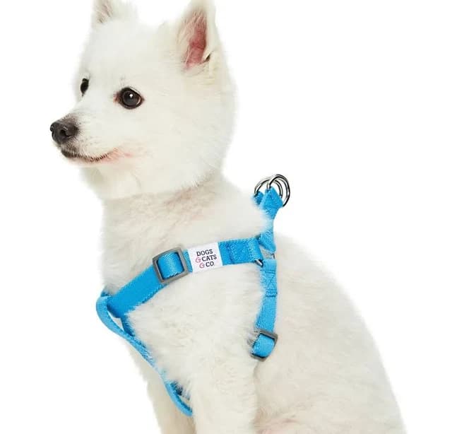 Dogs and Cats and Co. Classic Solid Color Step-In Dog Harness