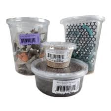 Live Insects Adult Bearded Dragon Feeder Bundle | Petco