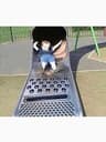 Video frame trigger