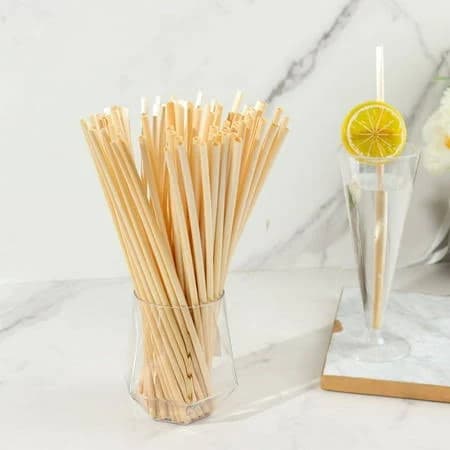 100-Pack Compostable Wheat Straws