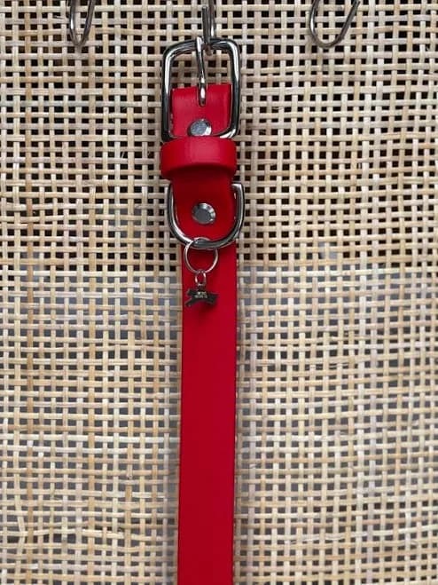 Red Solid Brass Buckle Collars
