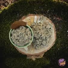 Imphepho Ceremonial Herb: Buy African Dream Root Online