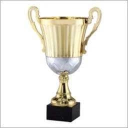 AMC19D Gold and Silver Cup Trophy