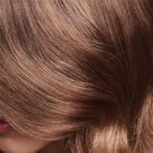 Wella Color Tango Developer 20 Volume - 16oz | Professional Hair Developer | Buy Now with Express International Delivery | GoSupps.com