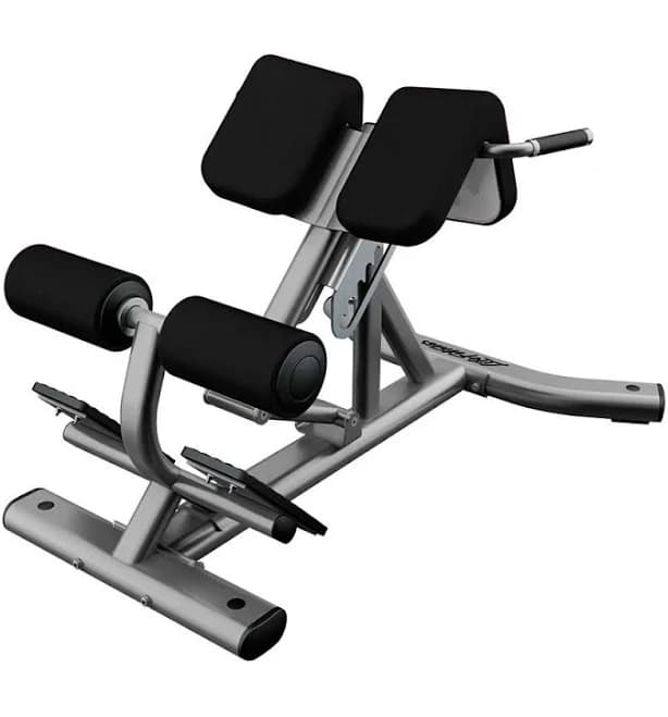Life Fitness Back Extension Workout Bench