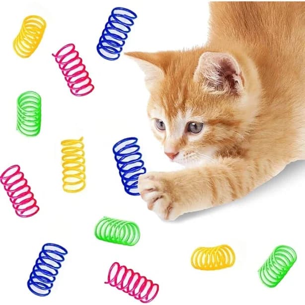 SunGrow Colorful Interactive Indoor Cat Spiral Spring Chasing Toy for Boredom, Exercise & Entertainment, 12 count
