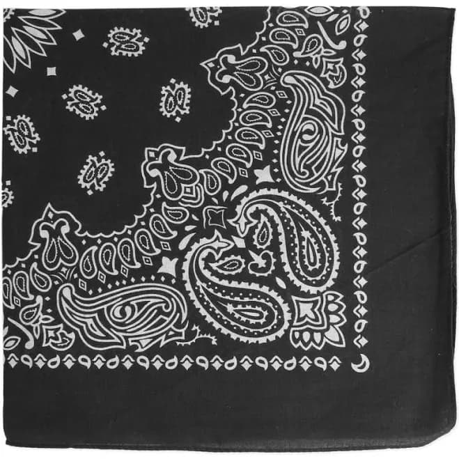 Cotton Paisley Bandana