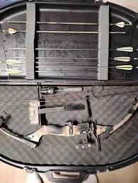 Bear archery compound bow with case