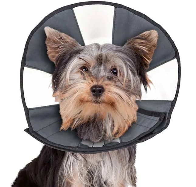 Zen Pet ZenCone Soft Recovery Collar for Dogs, Grey, Small