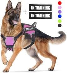 Adjustable Dog Harness | Multiple Color | with Easy-to-Wear Buckle and