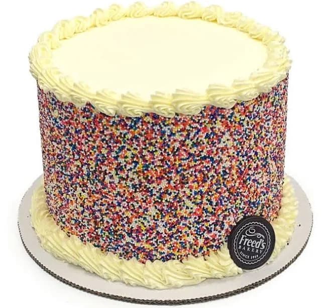 Rainbow Sprinkle Birthday Cake