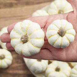 Faux Mini Baby Boo Pumpkins - Faux Fruits + Vegetables - Florals - Craft Supplies - Factory Direct Craft
