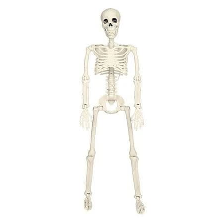 Shoreew Halloween Skeleton Decoration