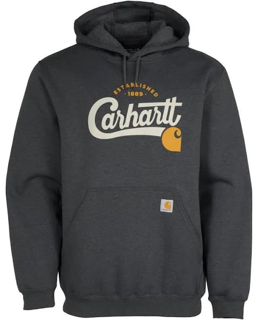 Carhartt Script Graphic Hoodie